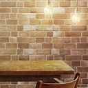 Ceramica Bricks Terra 31X54