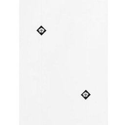 [CERAMICAEVEREST33X46] Ceramica Everest 33x46
