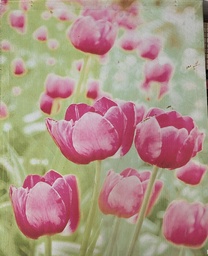 [CUADRO60X80] Cuadro Pintura Flores  60X80 CM